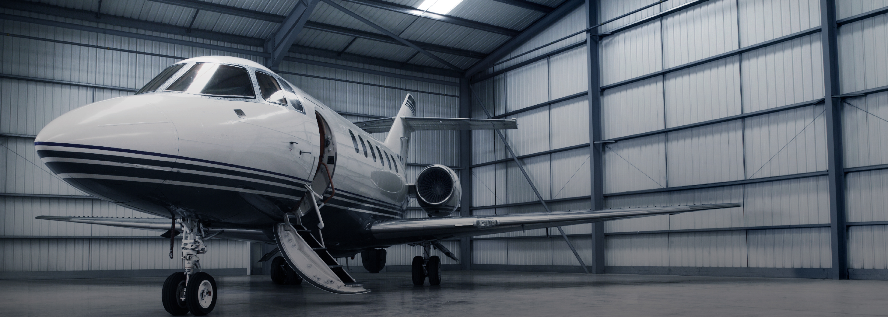 Starr Aviation Safety Alliance