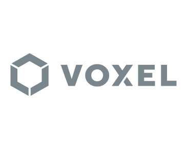 voxel