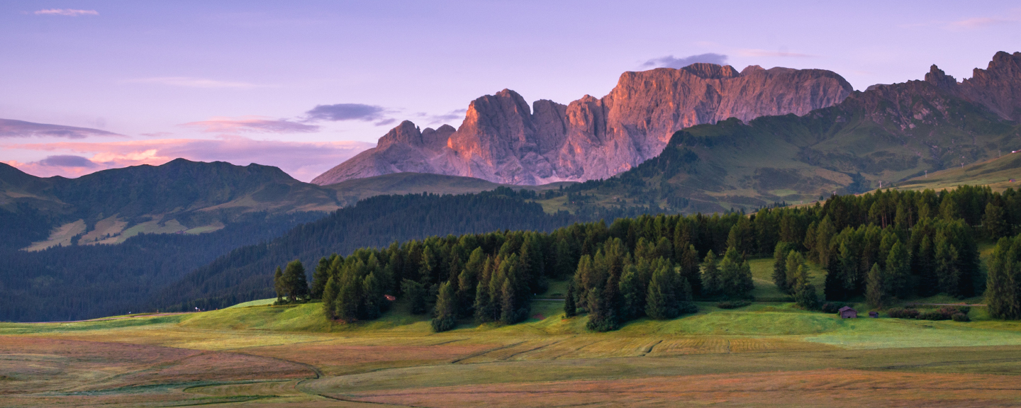 Environmental Services